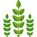Aqua Culture & Animal Nutrition
